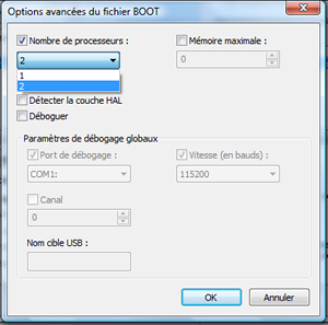 Capture d'écran - Options avancées du fichier BOOT