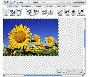 fotoflexer-image-editing