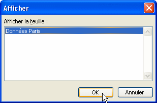masquer feuille Excel