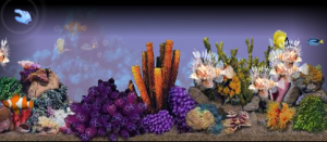3d-tropical-aquarium-screensaver