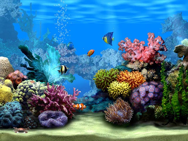 Living Marine Aquarium 2  ecran de veille